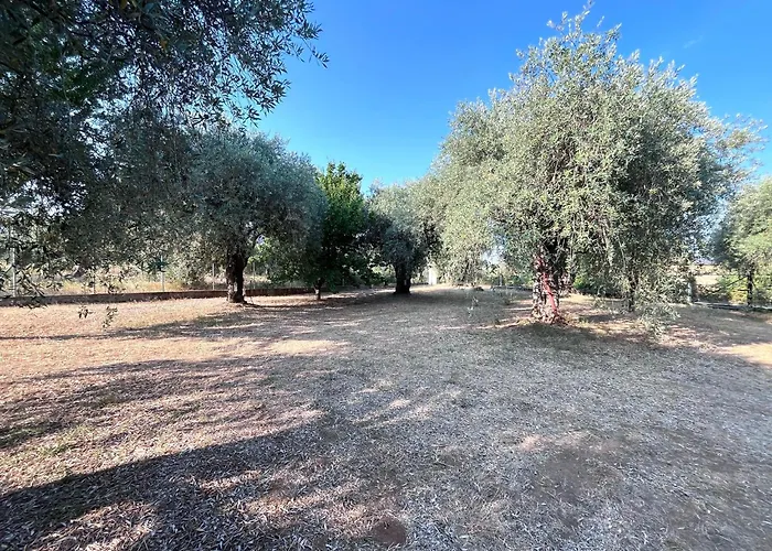 Lucky Holiday home *